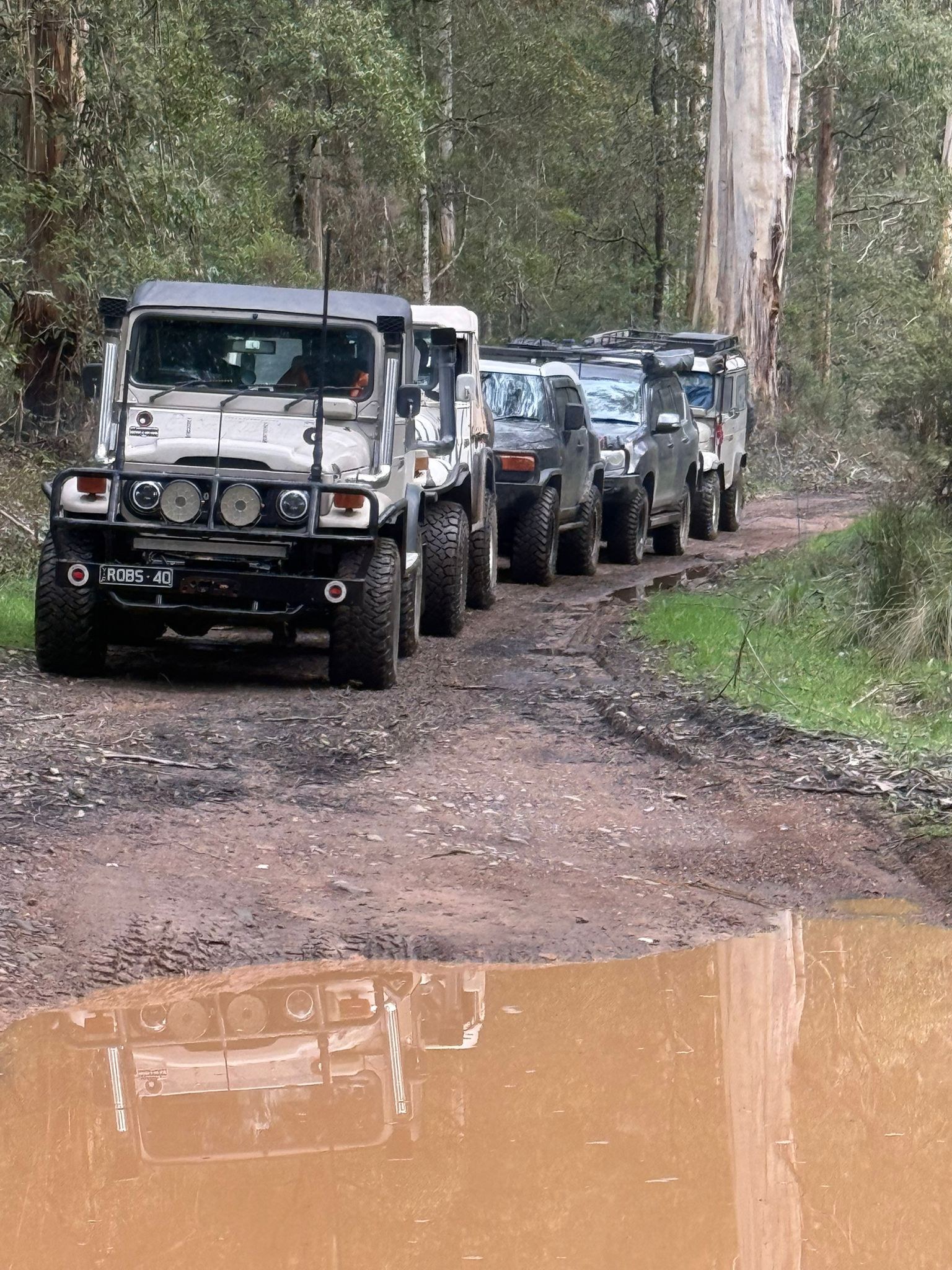 Convoy on the forest track