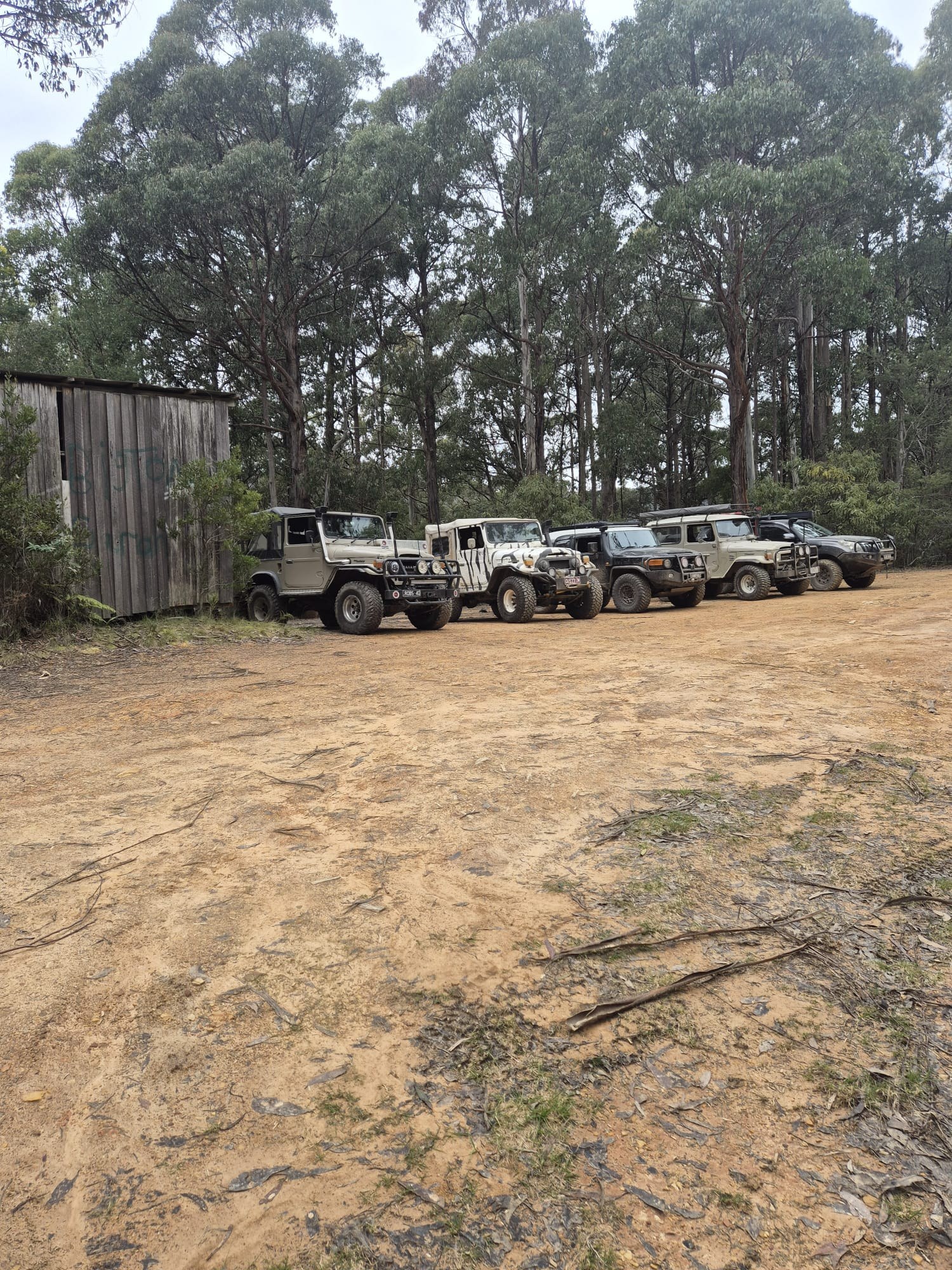 Winter Ridge Run lineup